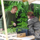 Markt2 __jpg-1369135829