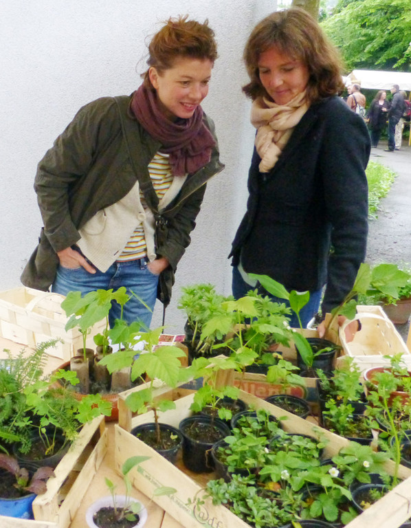 Markt8 __jpg-1369135853