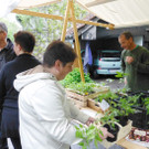 Markt13 __jpg-1369135879