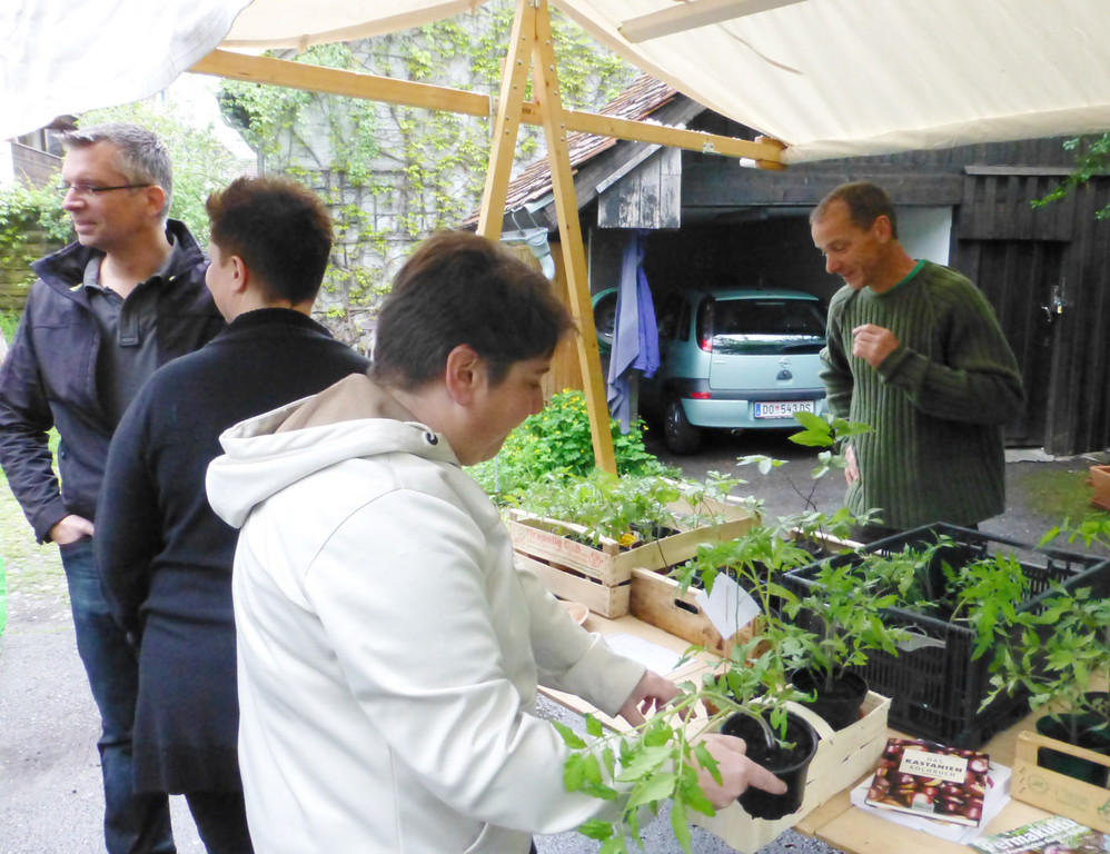 Markt13 __jpg-1369135879