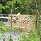 DSCN9664_jpg-1369137598