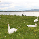 Seehotel LANDESHAUPTLEUTE 2013 _15__jpg-1369147243