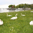 Seehotel LANDESHAUPTLEUTE 2013 _16__jpg-1369147254
