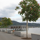 Seehotel LANDESHAUPTLEUTE 2013 _17__jpg-1369147261
