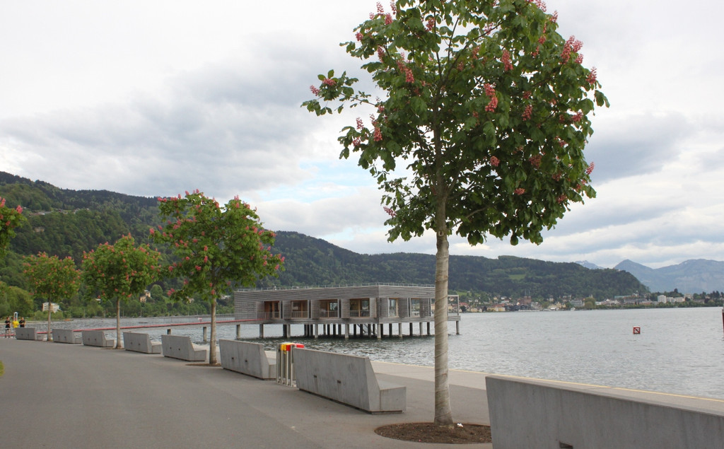 Seehotel LANDESHAUPTLEUTE 2013 _17__jpg-1369147261