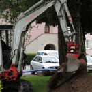 DSCN2137_JPG-1369169279