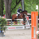 DSCN2028_JPG-1369170310