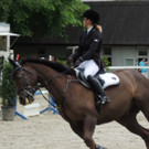 DSCN1956_JPG-1369170242