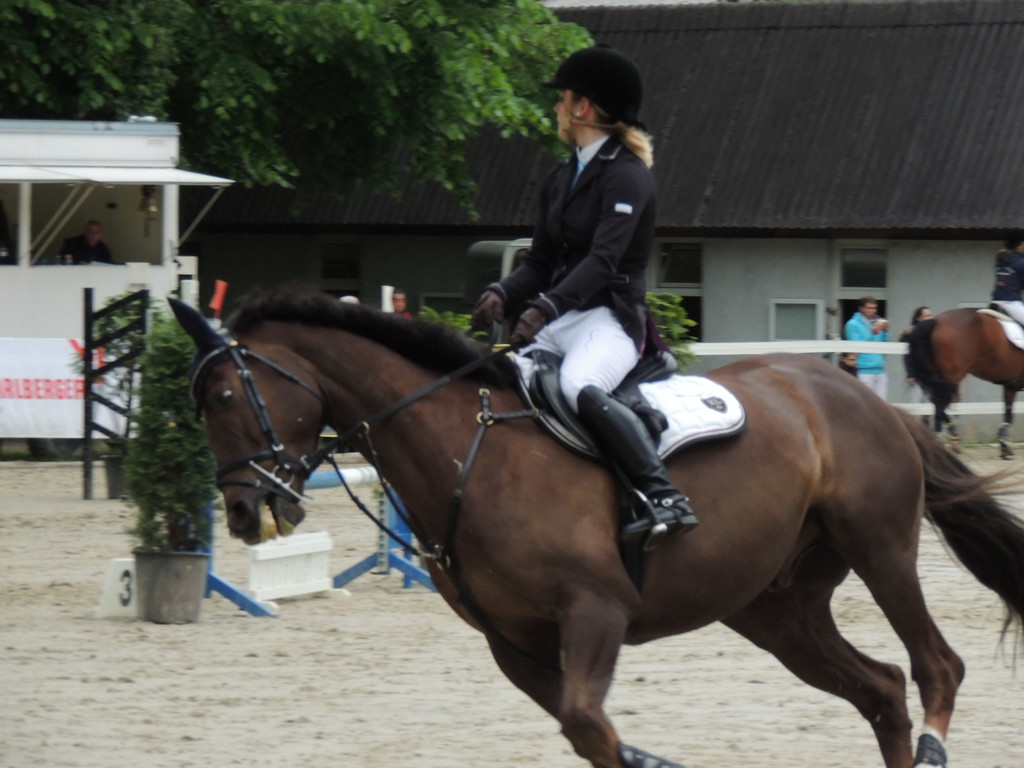 DSCN1956_JPG-1369170242