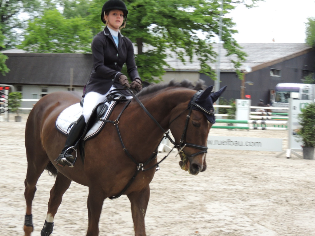 DSCN1965_JPG-1369170254