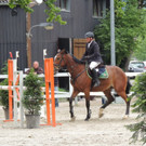 DSCN1981_JPG-1369170260