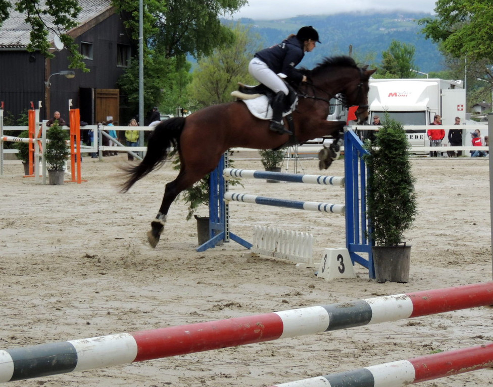 DSCN1987_JPG-1369170264