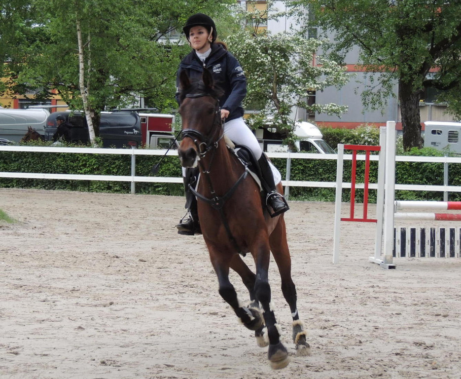 DSCN1988_JPG-1369170267