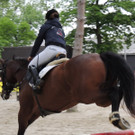 DSCN1989_JPG-1369170271