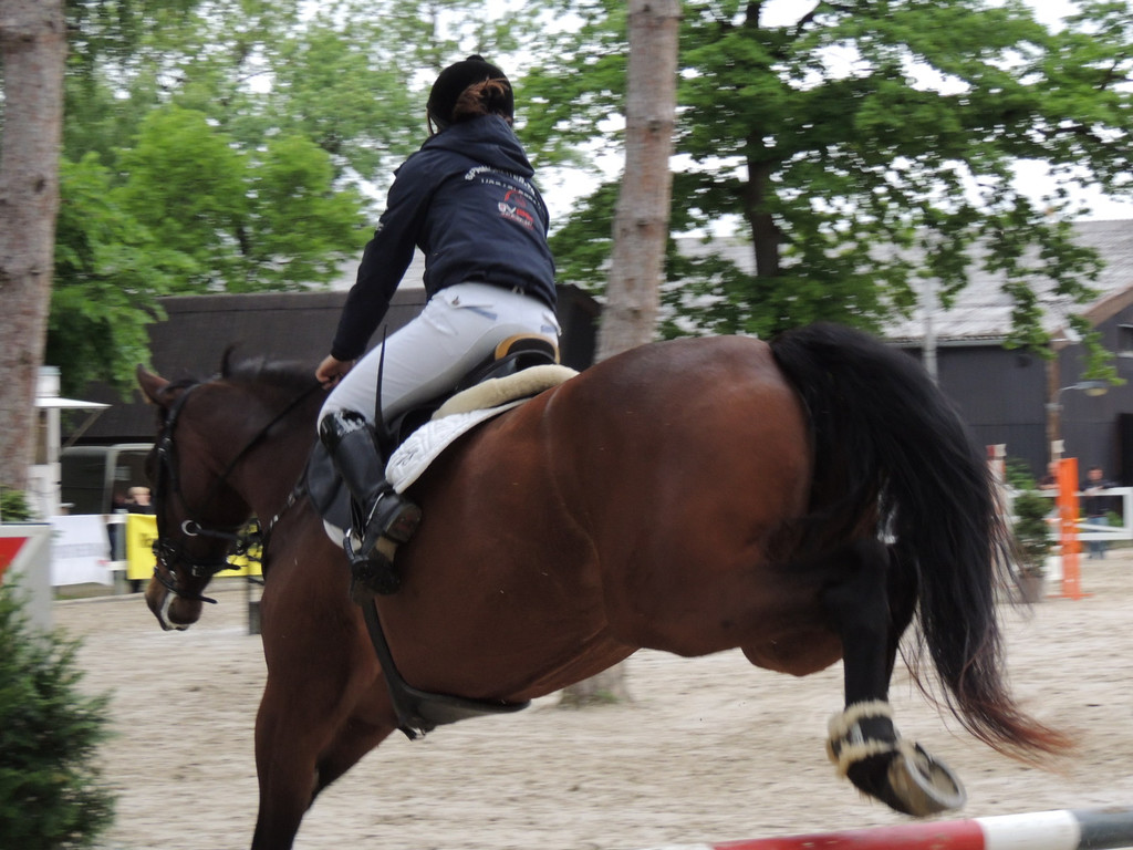 DSCN1989_JPG-1369170271