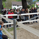 DSCN2004_JPG-1369170283