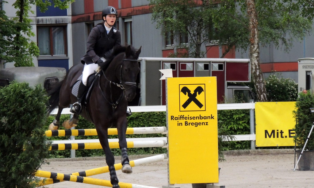 DSCN2012_JPG-1369170291