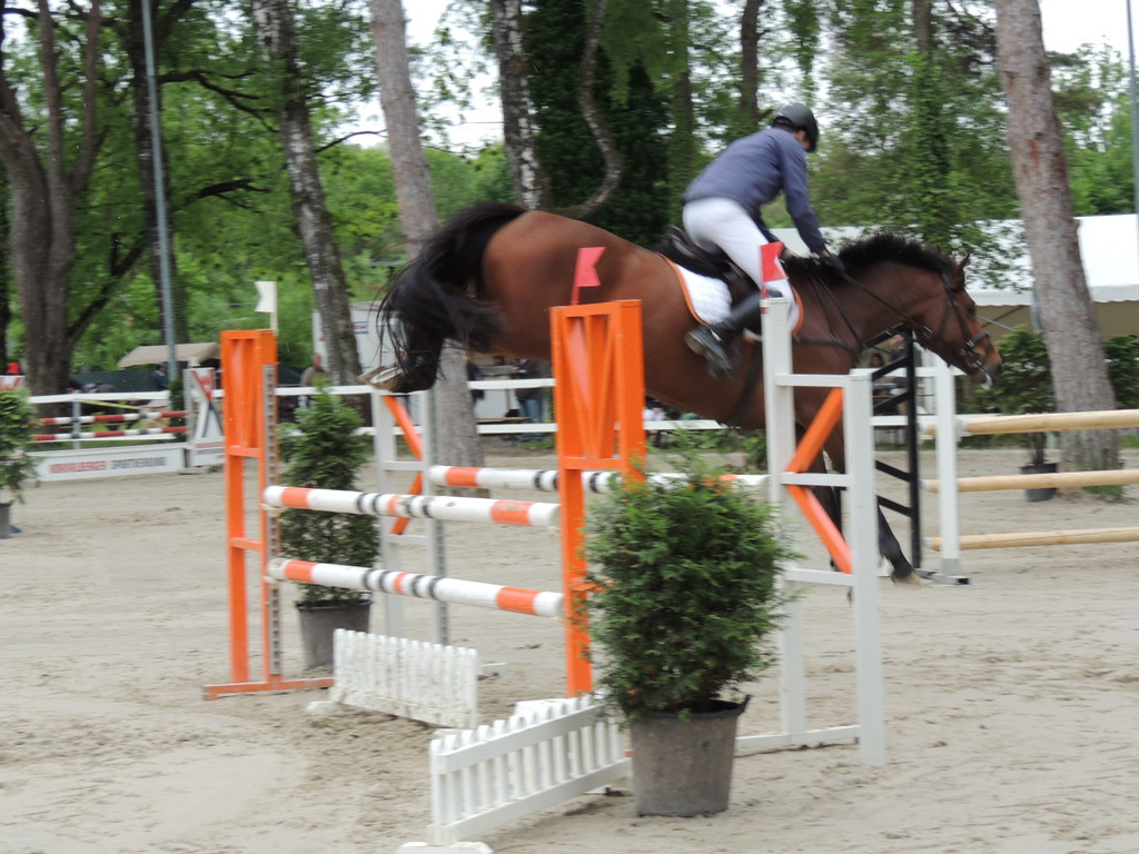 DSCN2026_JPG-1369170305