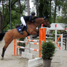 DSCN2038_JPG-1369170324