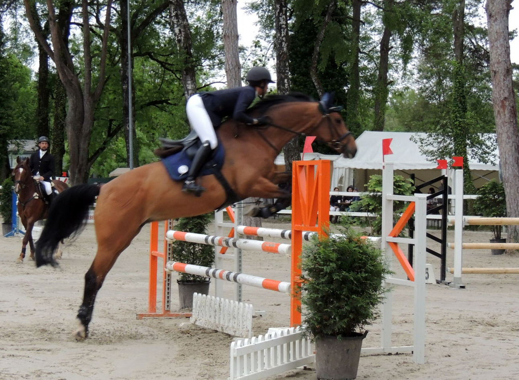 DSCN2038_JPG-1369170324