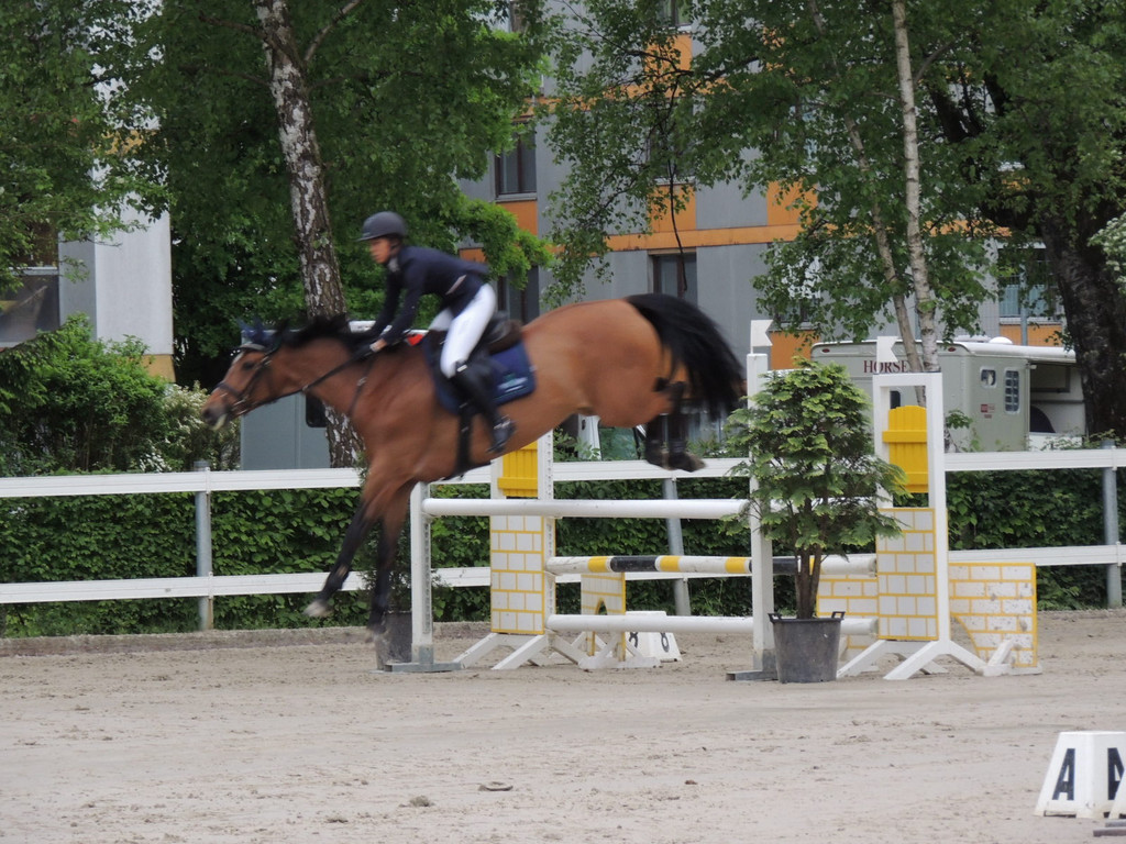 DSCN2043_JPG-1369170329