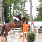 DSCN2051_JPG-1369170352