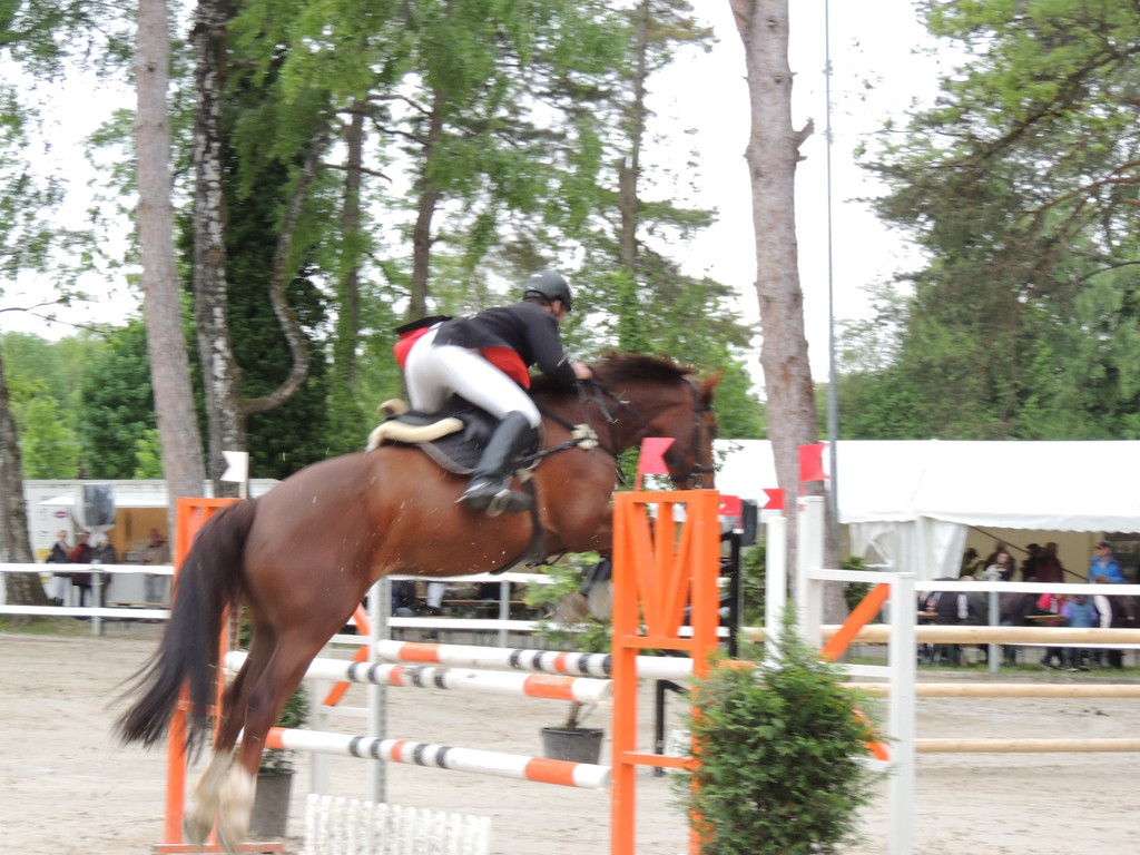 DSCN2051_JPG-1369170352