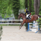 DSCN2052_JPG-1369170357