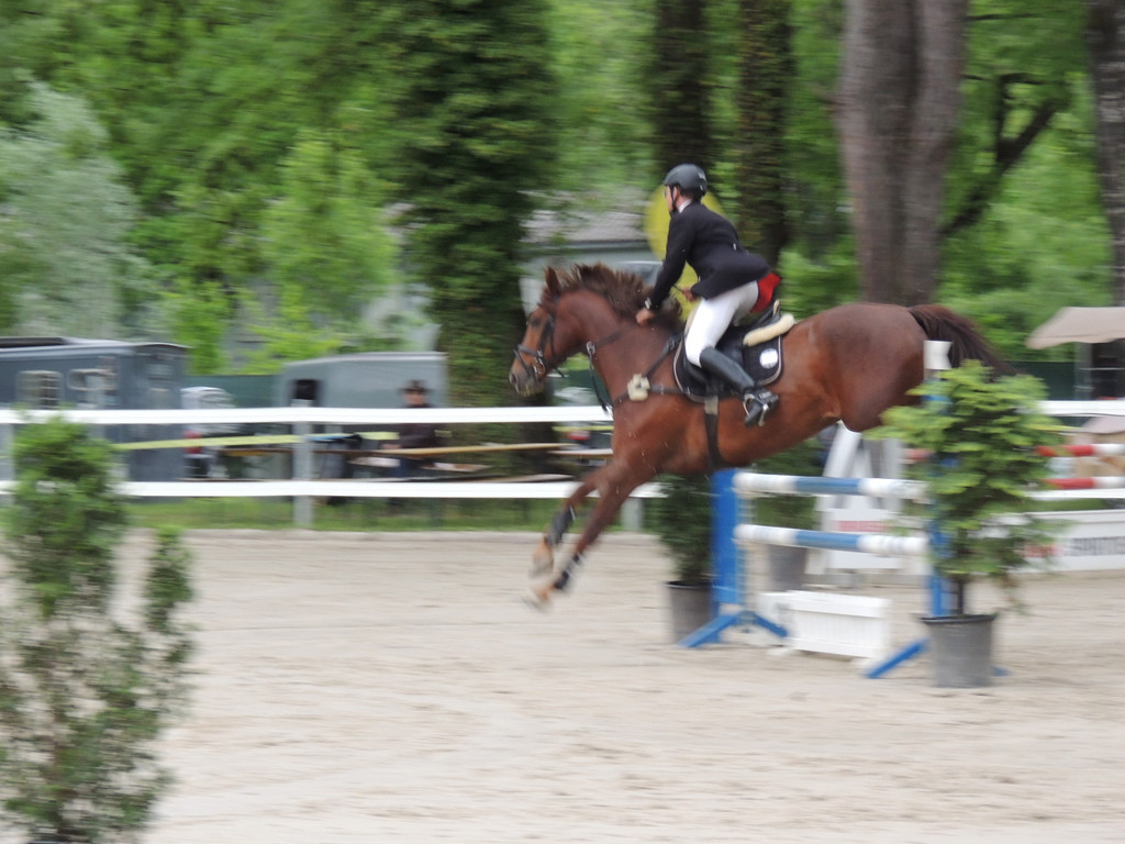 DSCN2052_JPG-1369170357