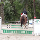 DSCN2055_JPG-1369170366