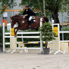 DSCN2056_JPG-1369170370