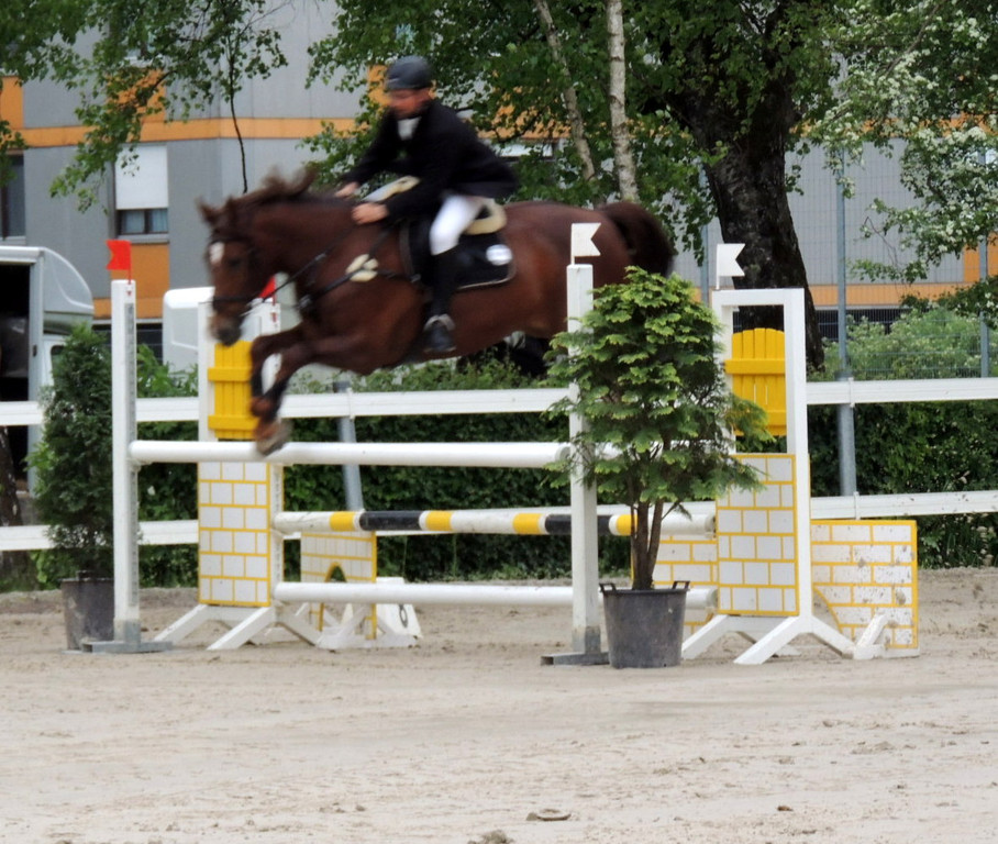 DSCN2056_JPG-1369170370