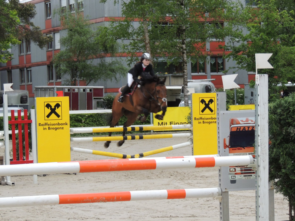 DSCN2060_JPG-1369170380