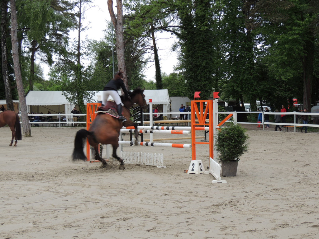 DSCN2061_JPG-1369170384