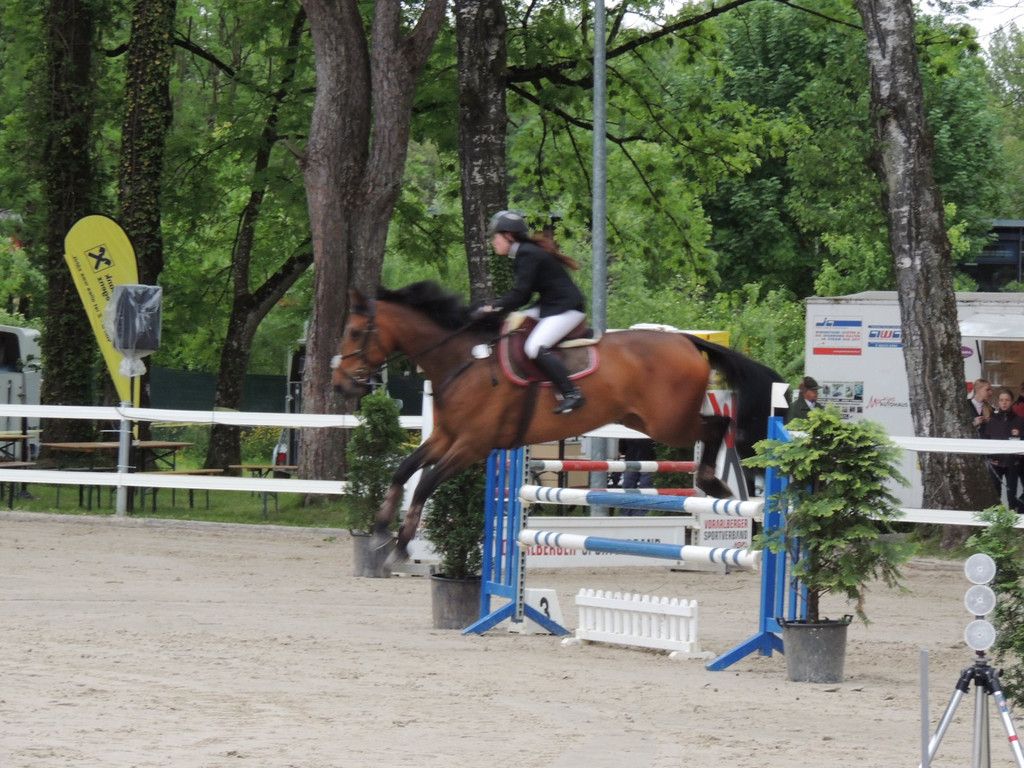 DSCN2068_JPG-1369170401