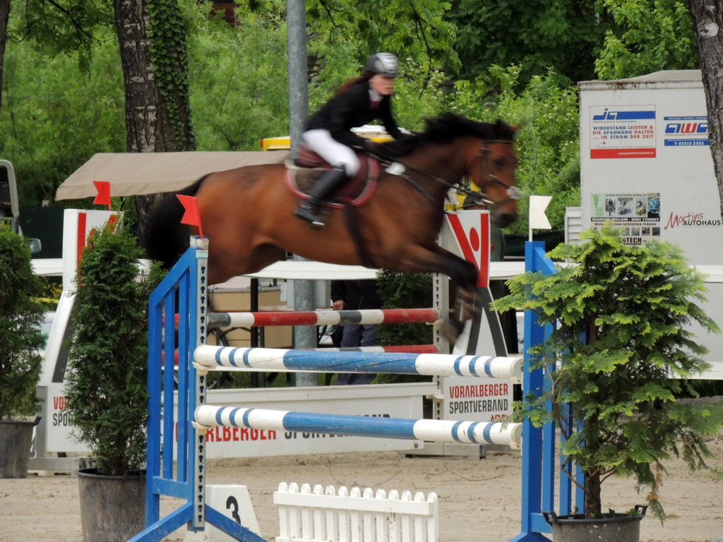 DSCN2069_JPG-1369170406