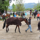 DSCN2075_JPG-1369170425