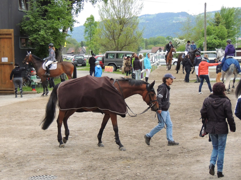 DSCN2075_JPG-1369170425