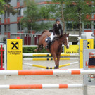 DSCN2076_JPG-1369170431