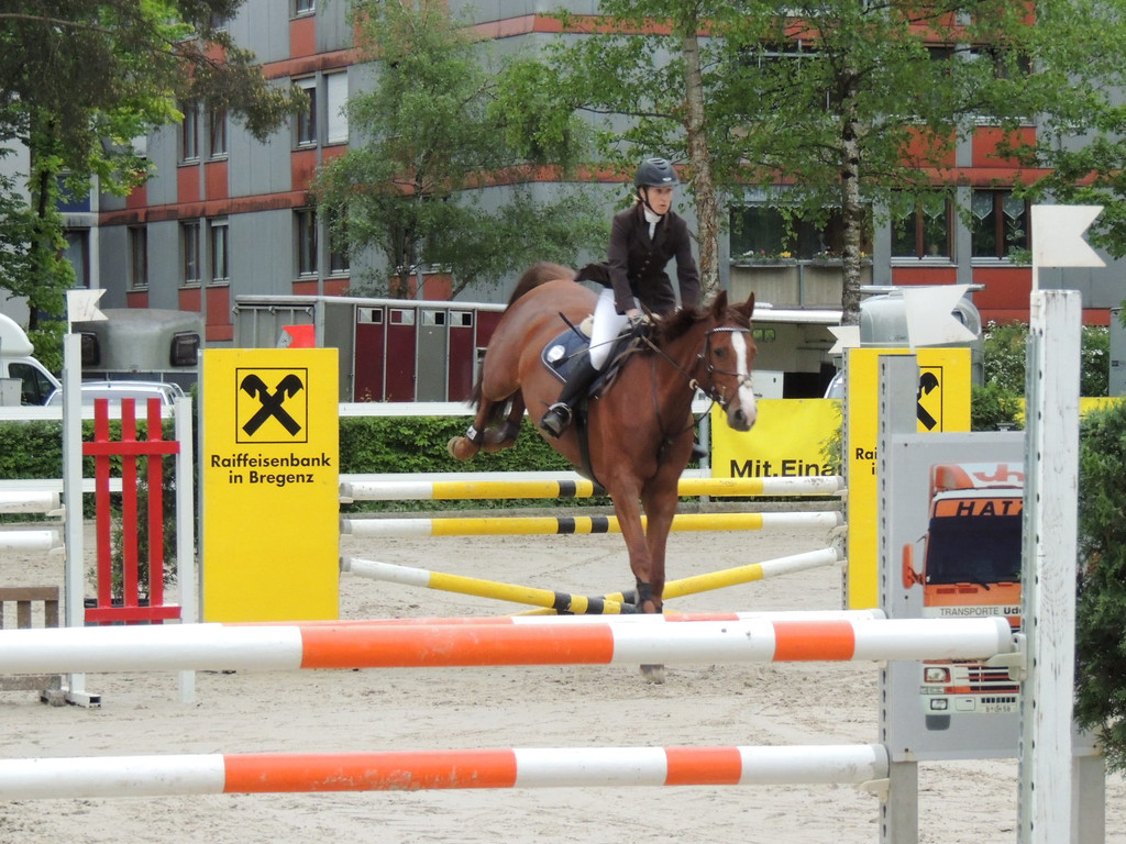 DSCN2076_JPG-1369170431