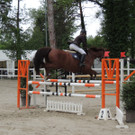 DSCN2077_JPG-1369170436