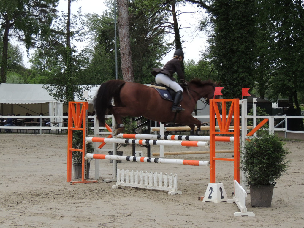 DSCN2077_JPG-1369170436