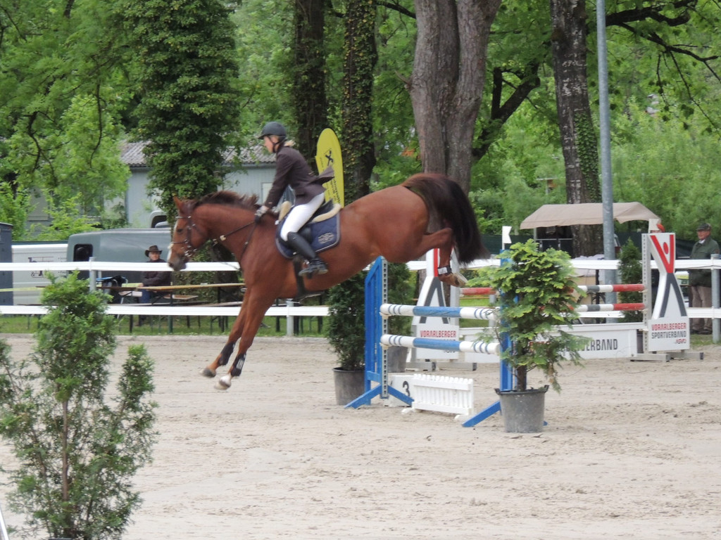 DSCN2078_JPG-1369170440