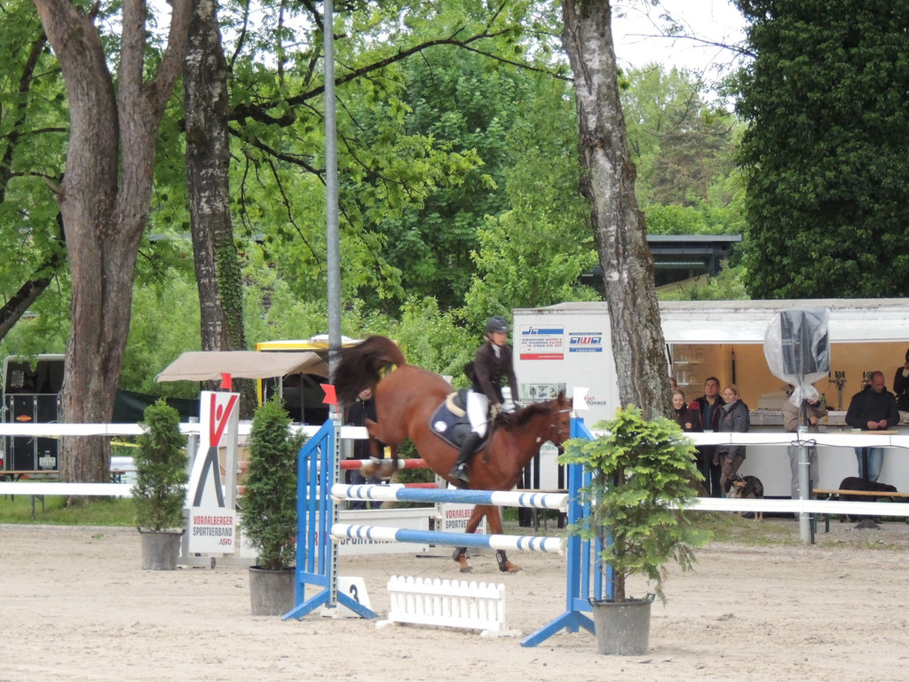 DSCN2079_JPG-1369170445