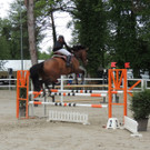 DSCN2067_JPG-1369170396