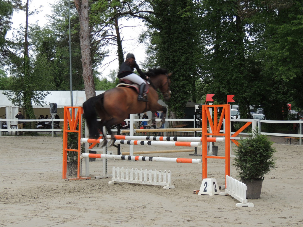 DSCN2067_JPG-1369170396