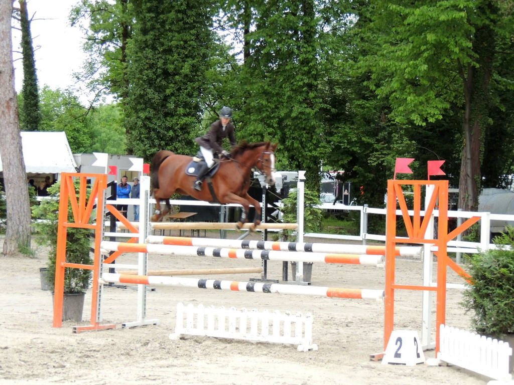 DSCN2080_JPG-1369170449