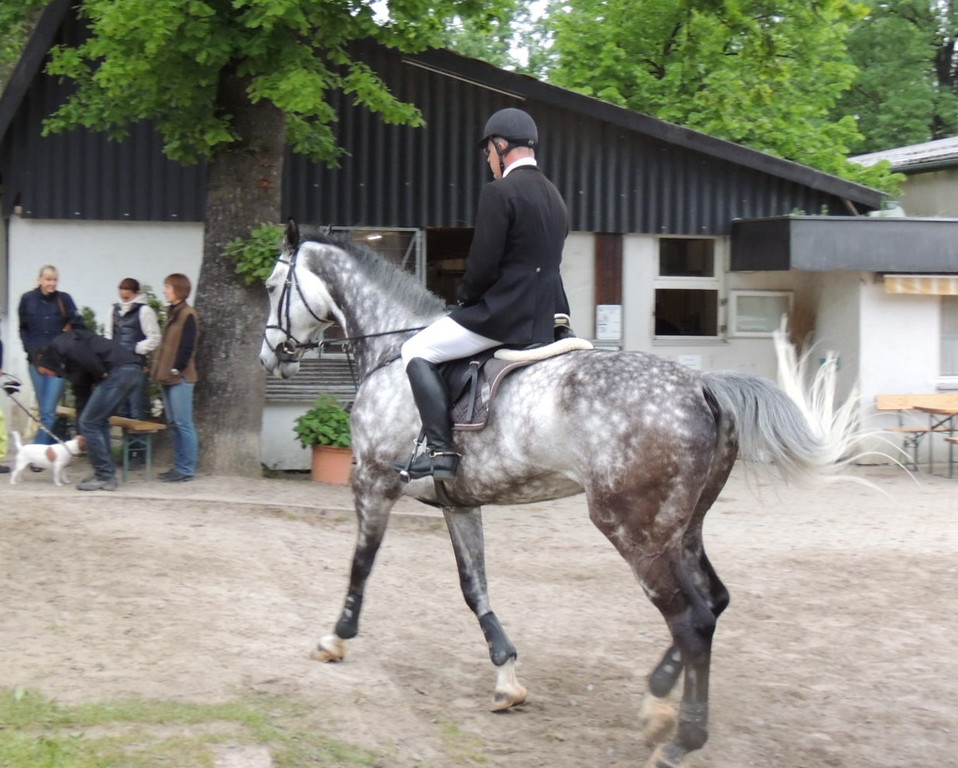 DSCN2086_JPG-1369170457