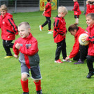 IMG_1391_jpg-1369228255