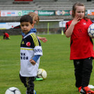IMG_1610_jpg-1369228363